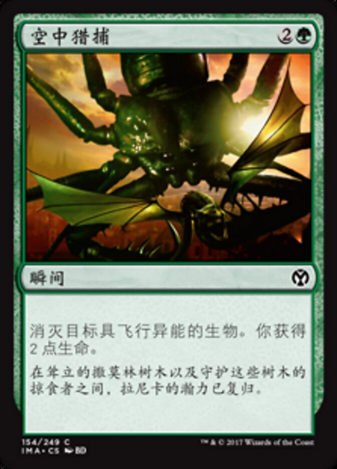 空中猎捕