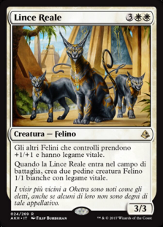Lince Reale