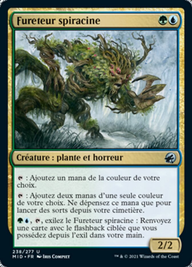 Fureteur spiracine