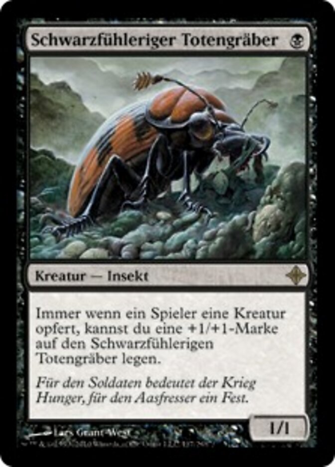 Schwarzfühleriger Totengräber