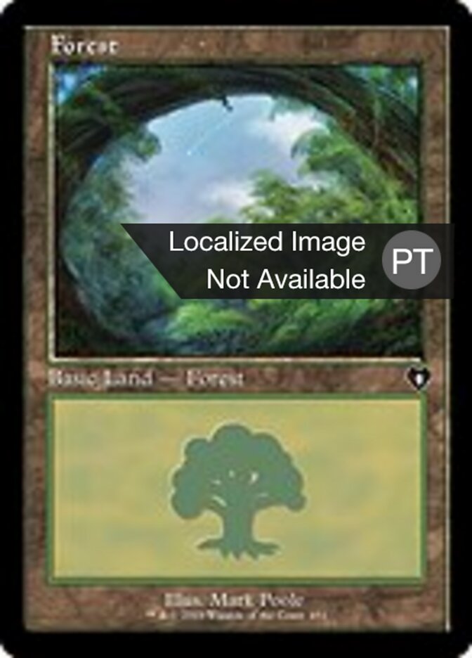 Forest