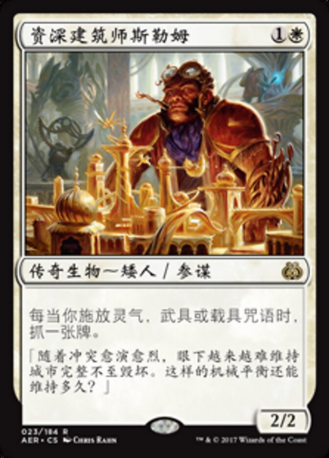 资深建筑师斯勒姆