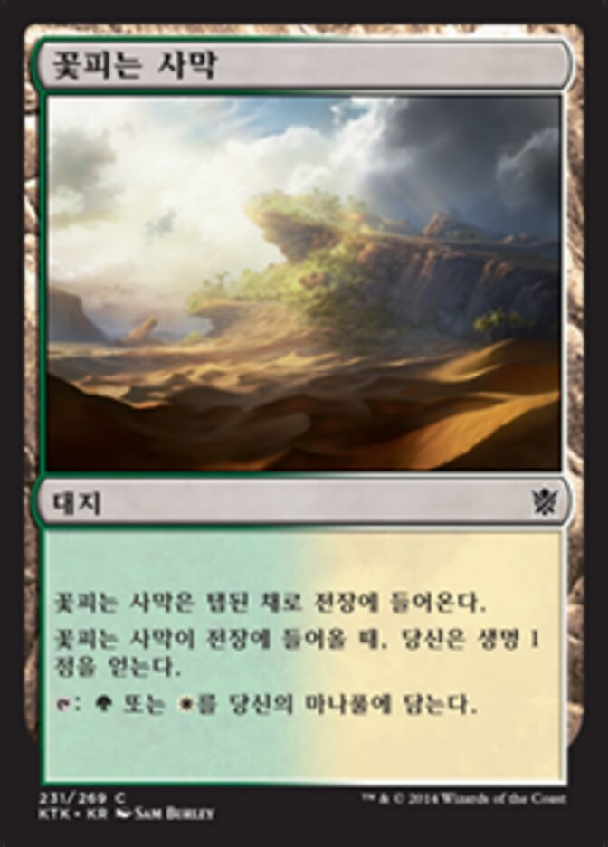 꽃피는 사막