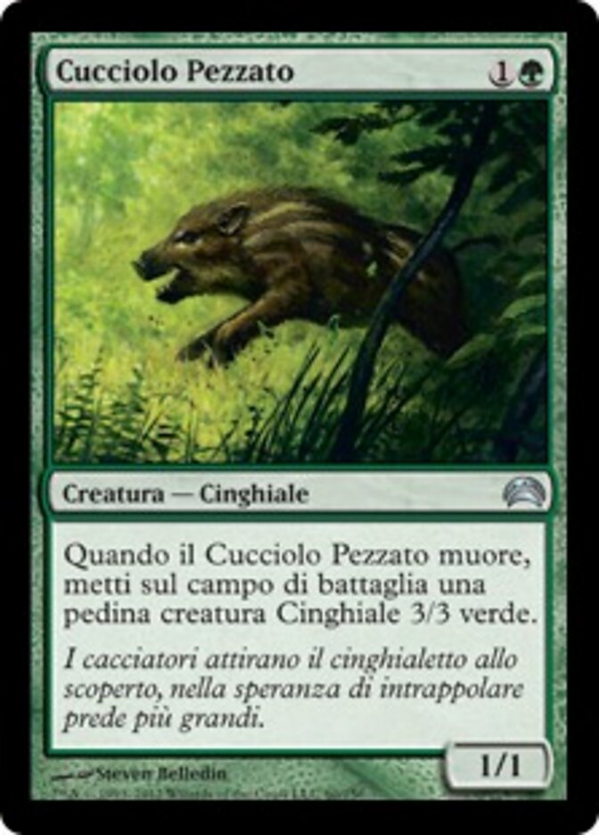 Cucciolo Pezzato