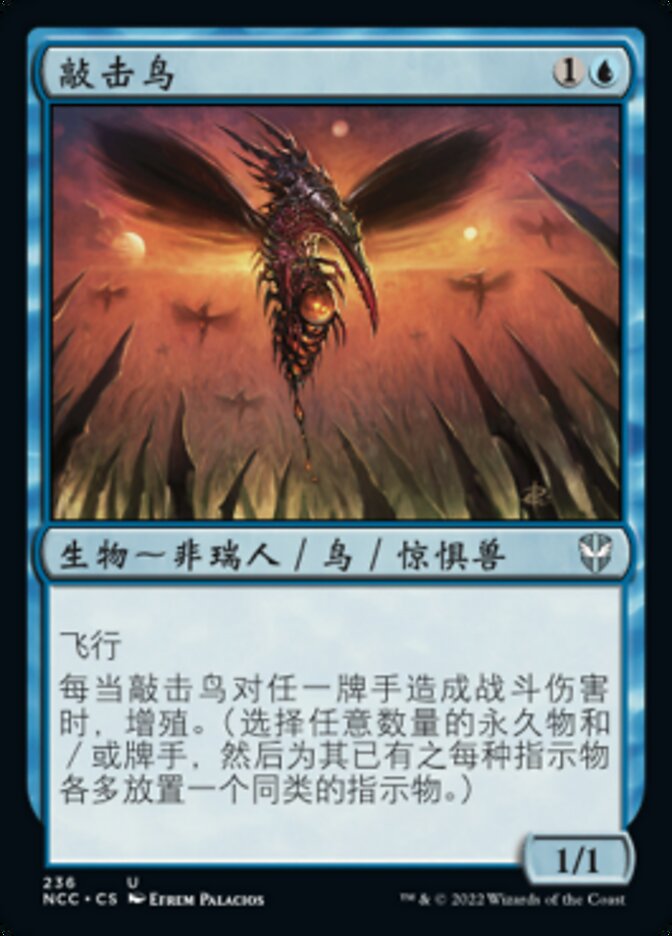 敲击鸟