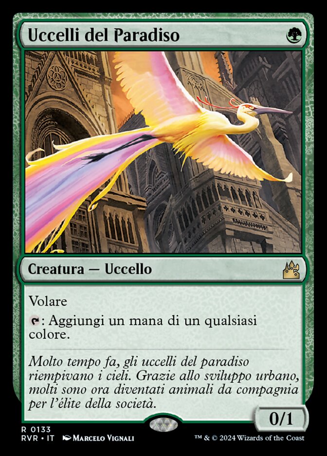 Uccelli del Paradiso