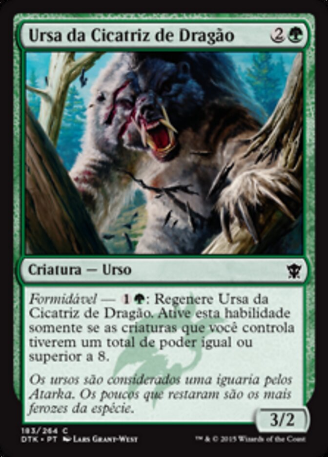 Ursa da Cicatriz de Dragão