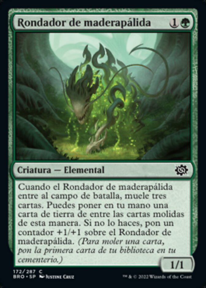 Rondador de maderapálida