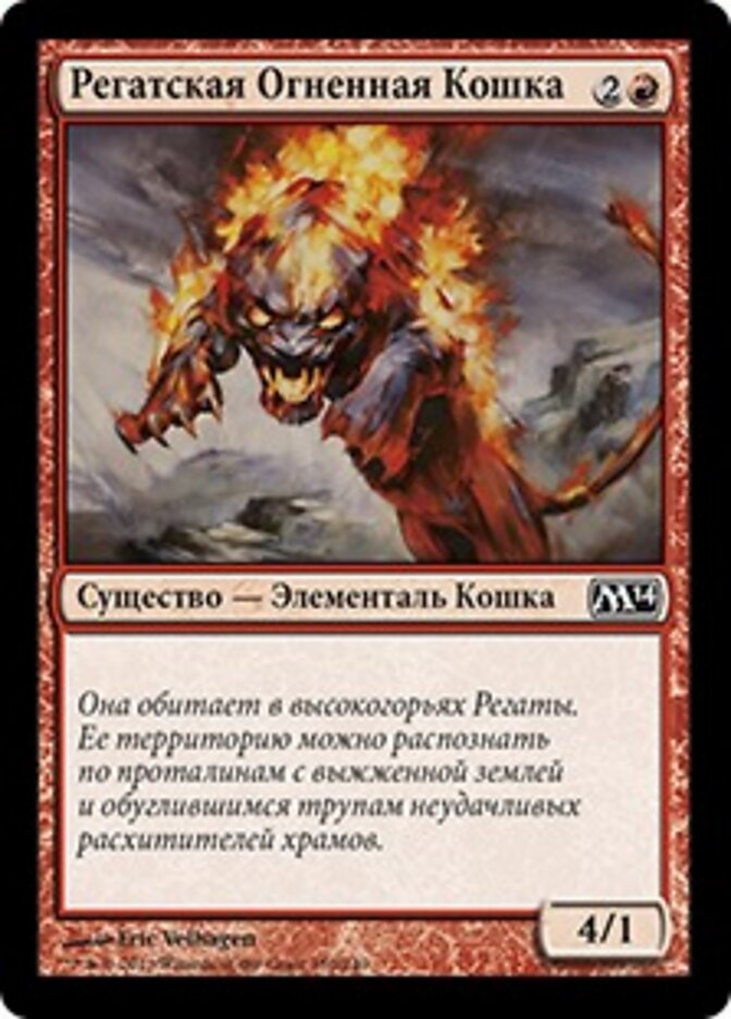 Регатская Огненная Кошка