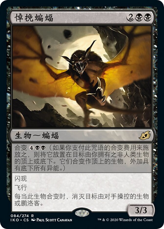 悼挽蝙蝠