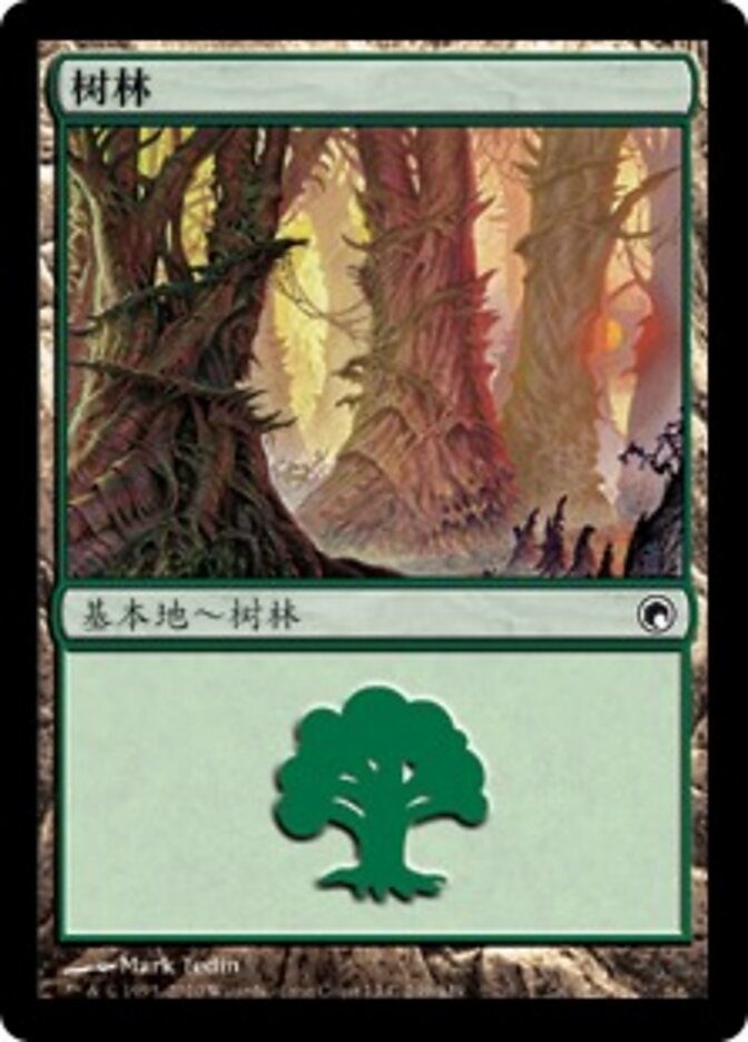 树林