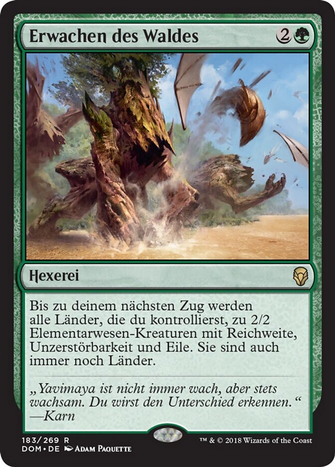 Erwachen des Waldes