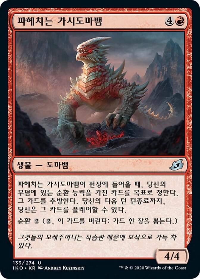 파헤치는 가시도마뱀