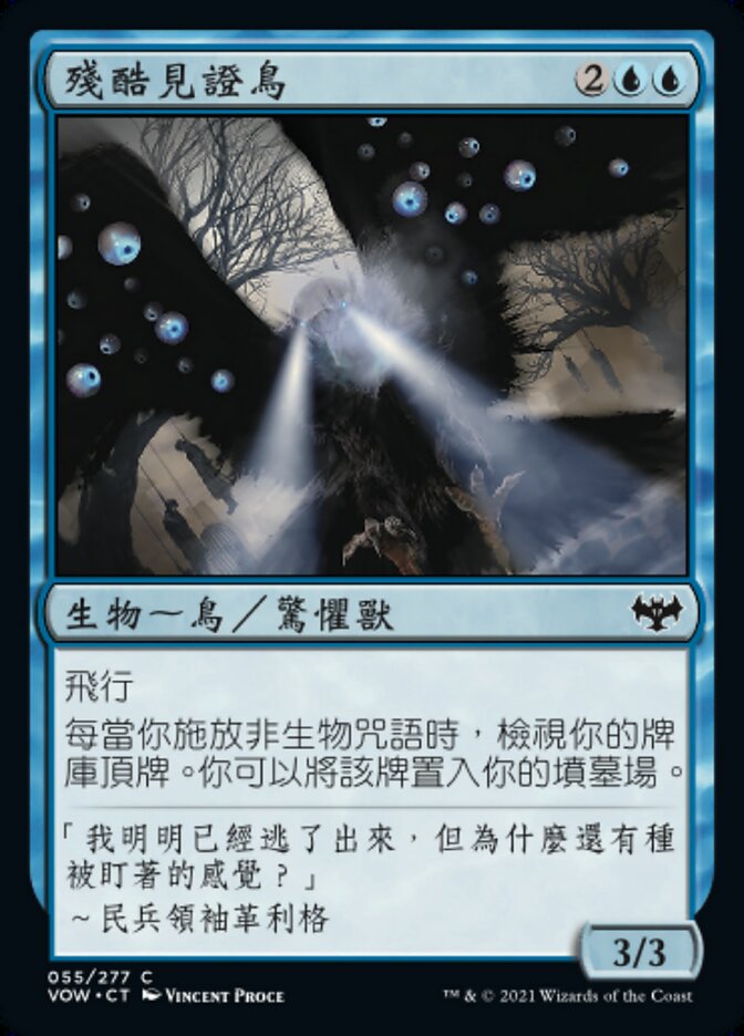 殘酷見證鳥