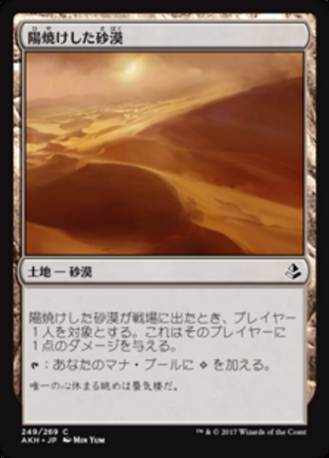 陽焼けした砂漠