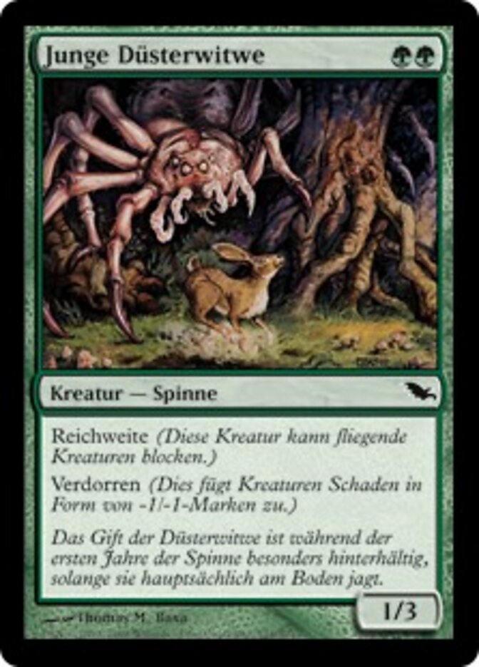 Junge Düsterwitwe