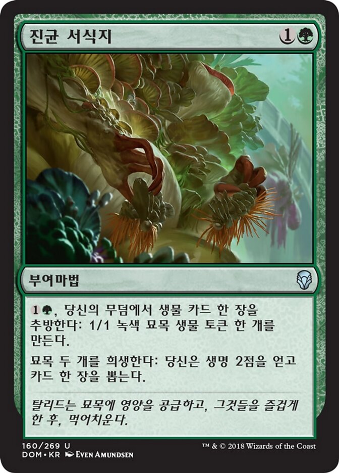진균 서식지