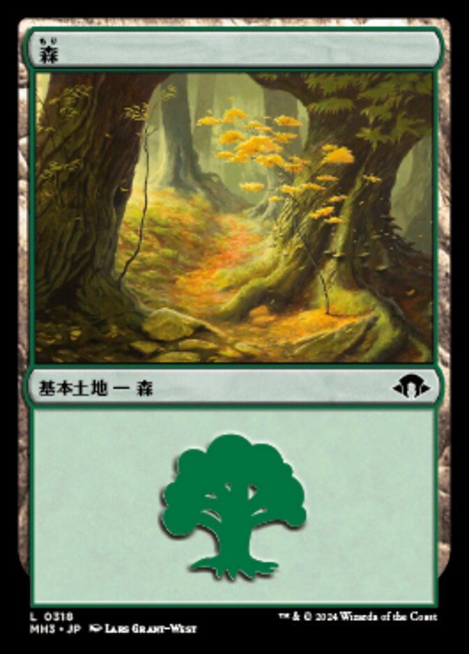 森