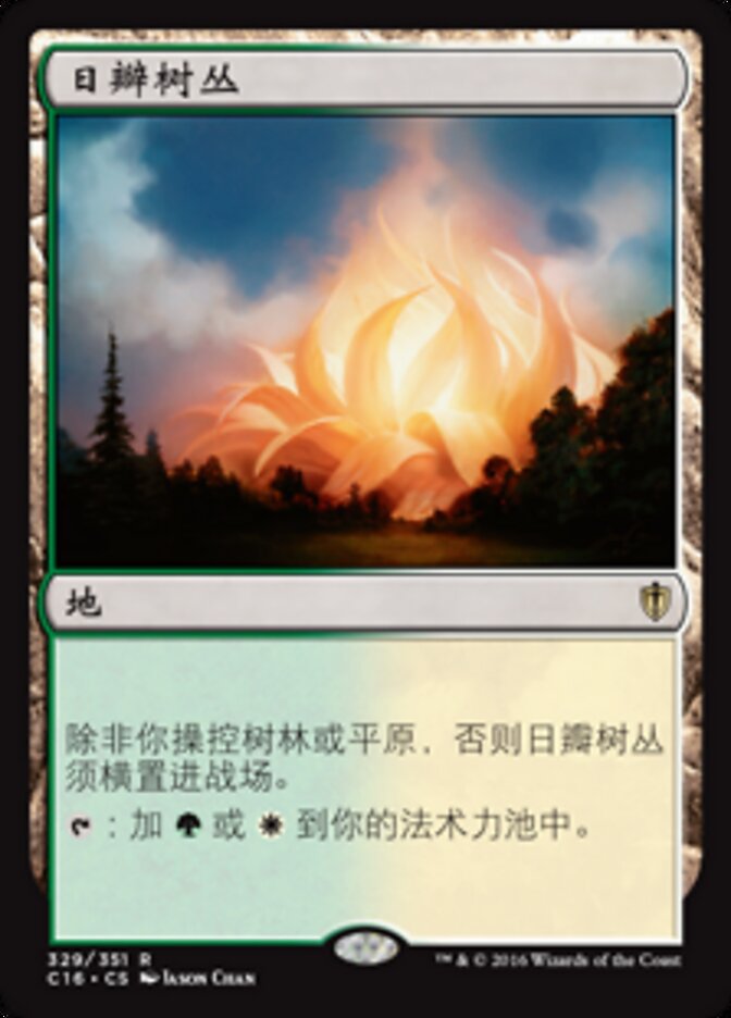 日瓣树丛