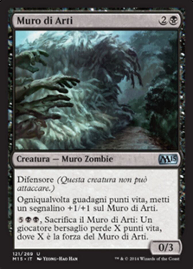 Muro di Arti