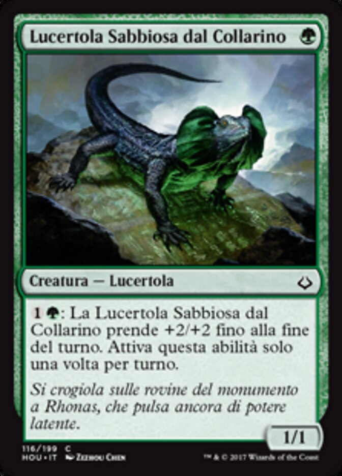 Lucertola Sabbiosa dal Collarino
