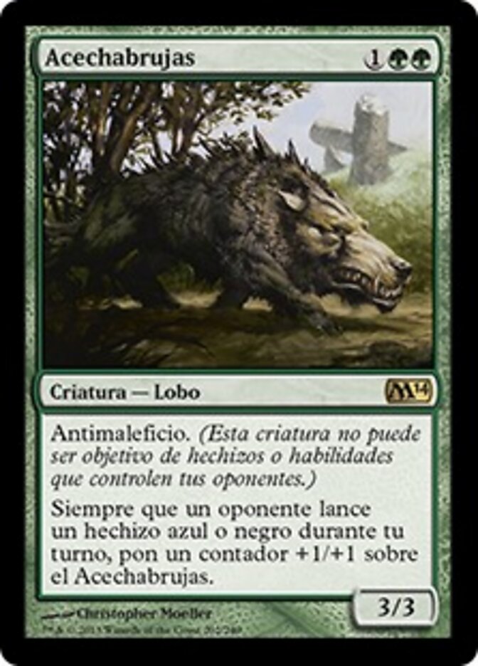 Acechabrujas