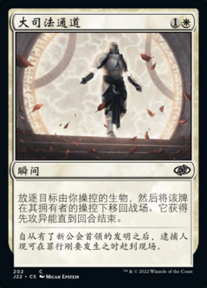 大司法通道