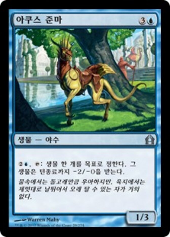 아쿠스 준마