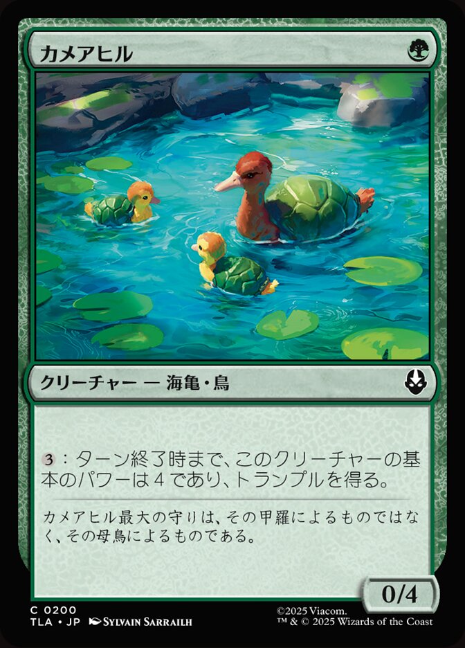 カメアヒル