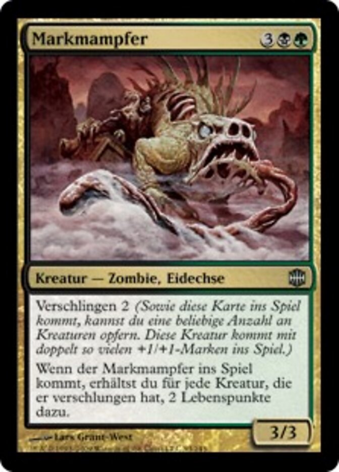 Markmampfer