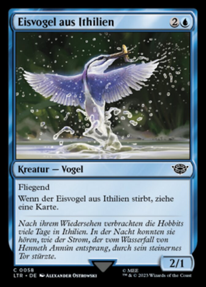 Eisvogel aus Ithilien