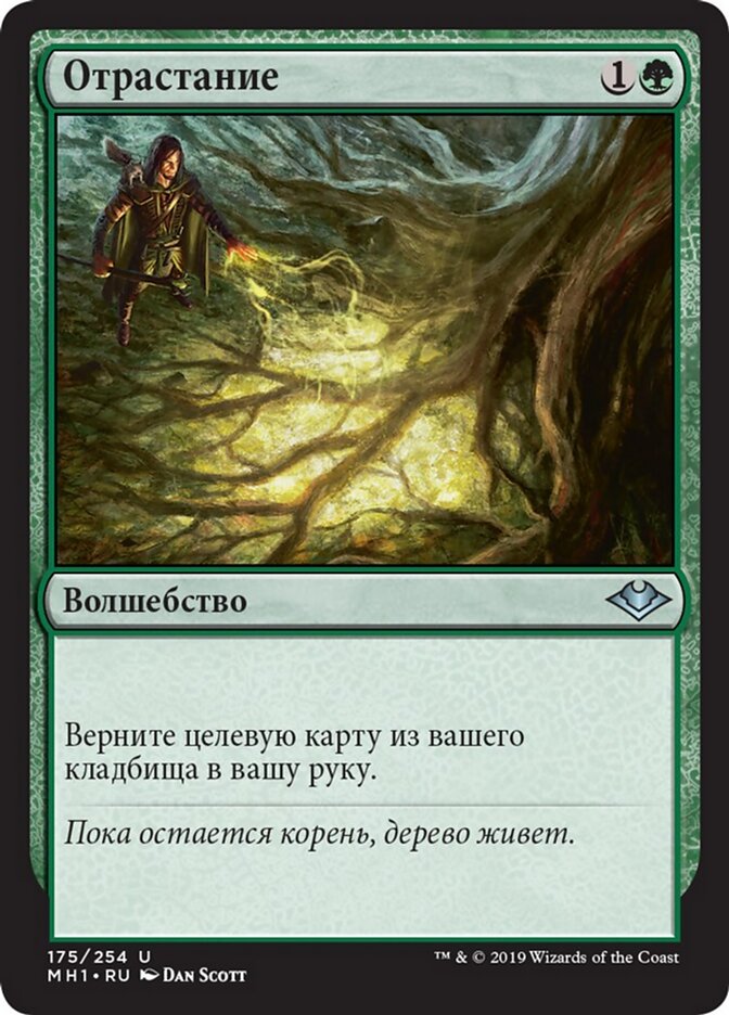 Отрастание
