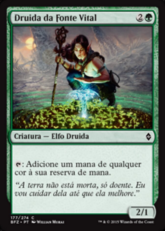 Druida da Fonte Vital
