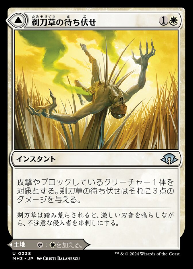 Razorgrass Ambush // Razorgrass Field