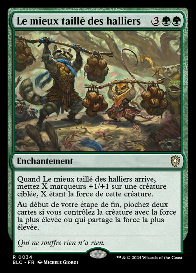 Le mieux taillé des halliers