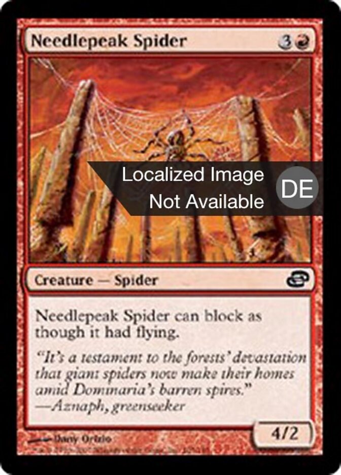 Nadelspitzenspinne