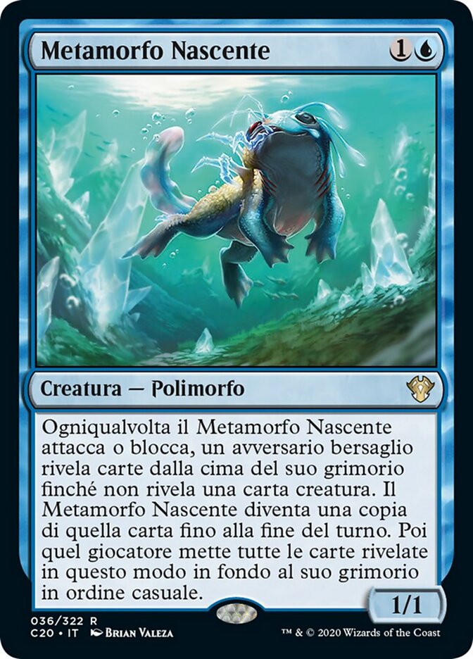 Metamorfo Nascente
