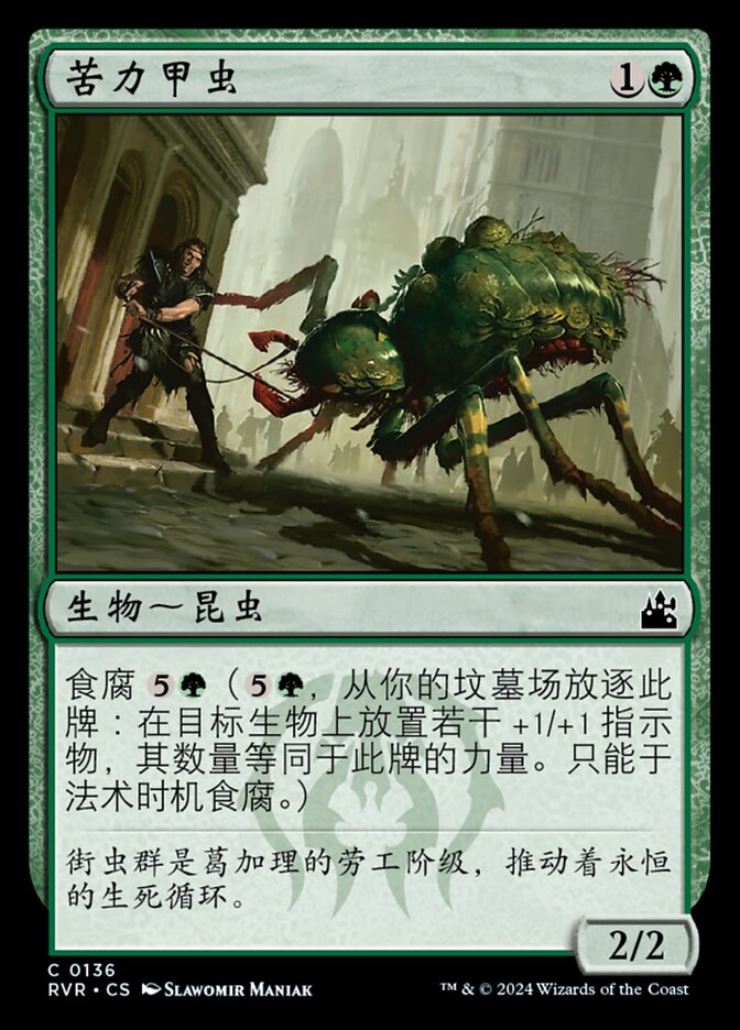 苦力甲虫