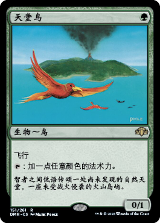 天堂鸟