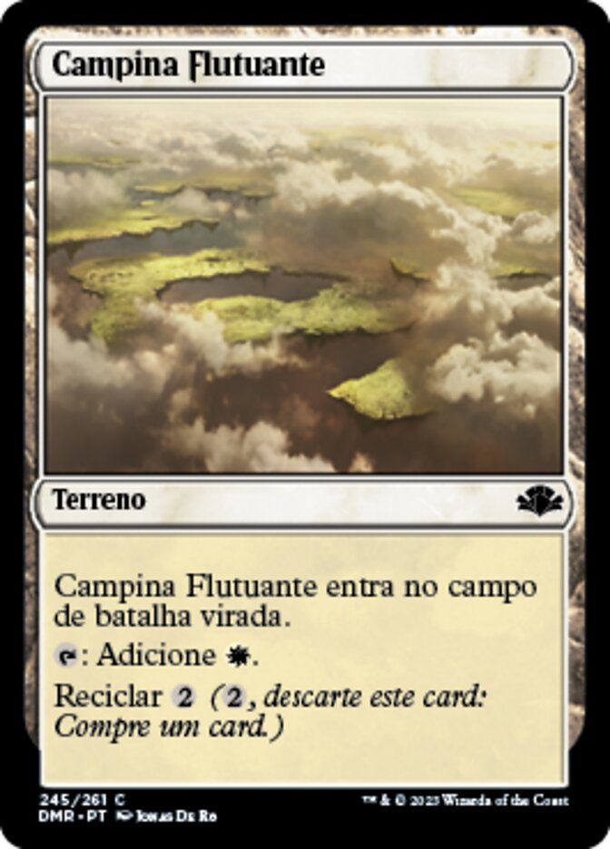Campina Flutuante