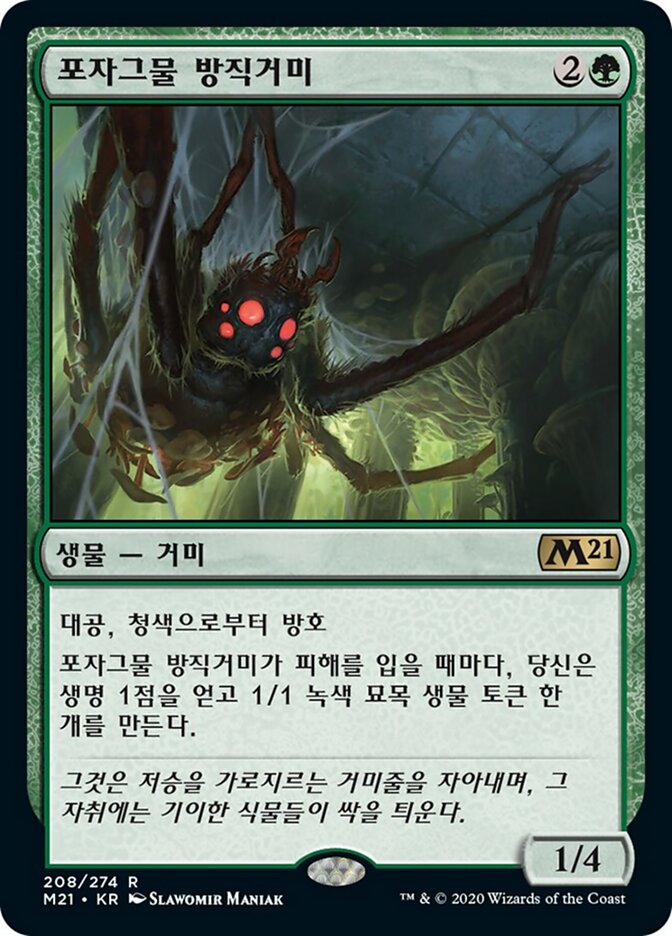 포자그물 방직거미