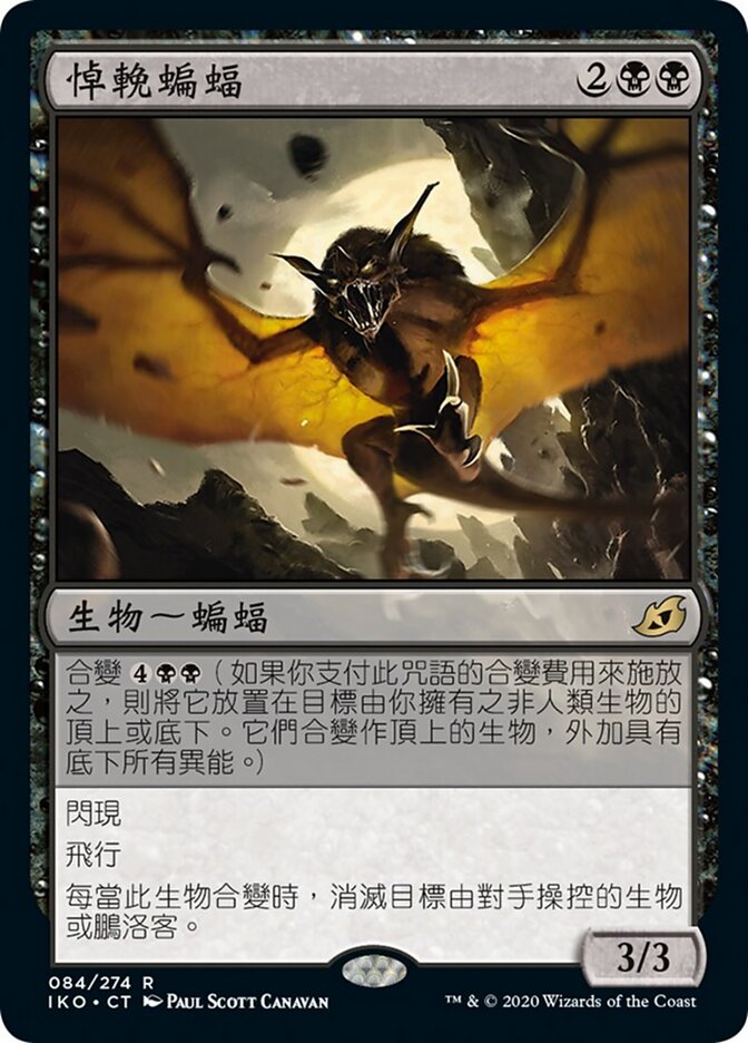 悼輓蝙蝠