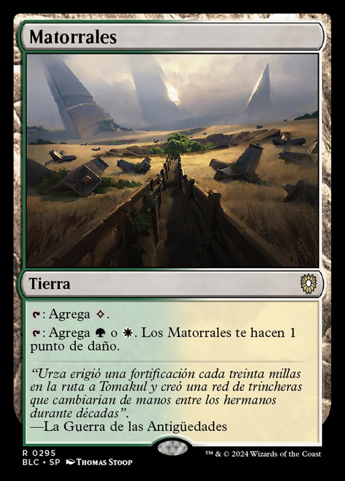 Matorrales