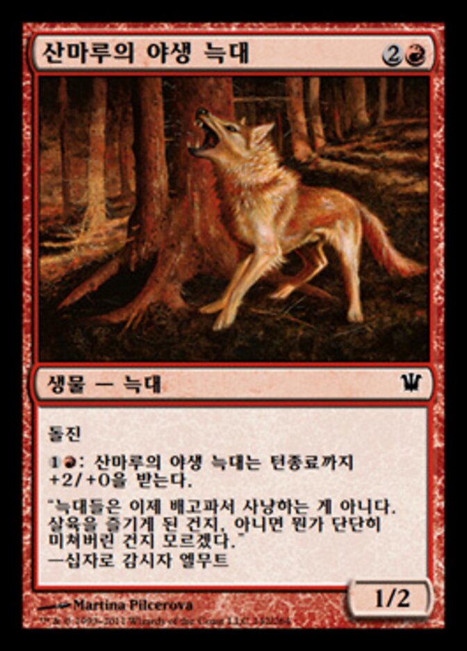 산마루의 야생 늑대