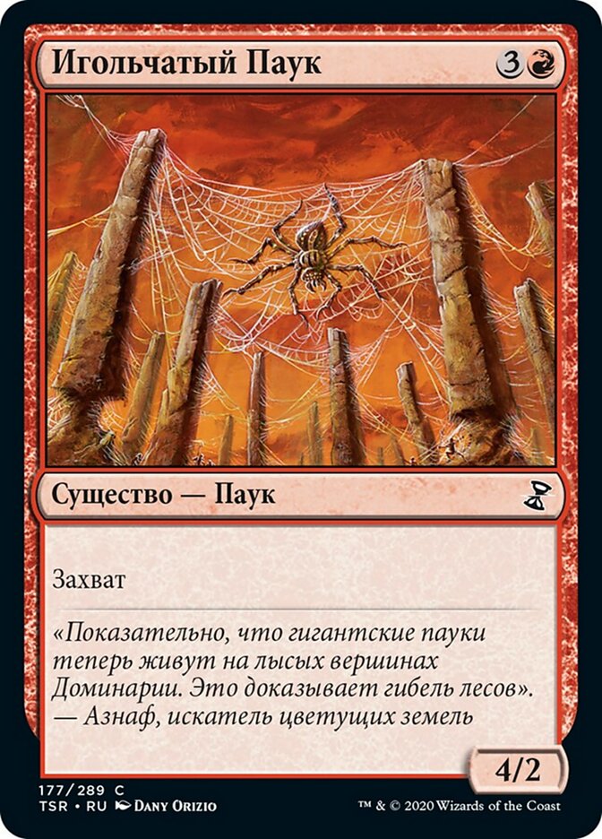 Игольчатый Паук