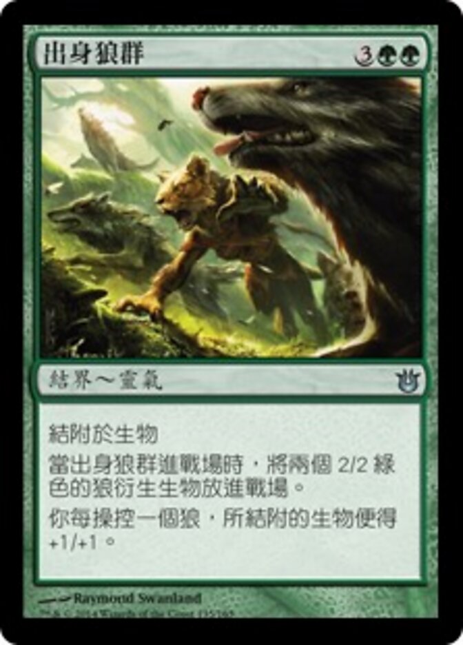 出身狼群