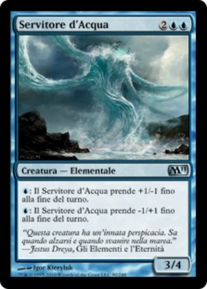 Servitore d'Acqua