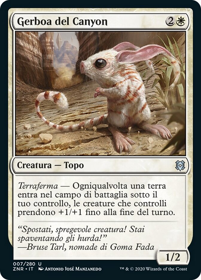 Gerboa del Canyon