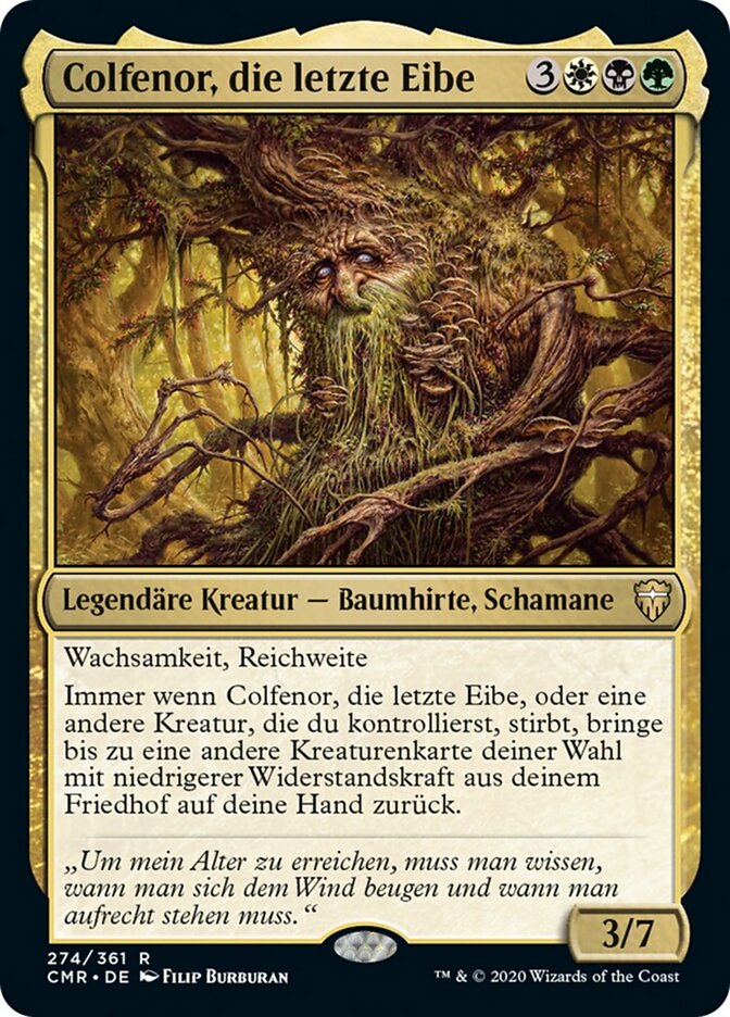 Colfenor, die letzte Eibe