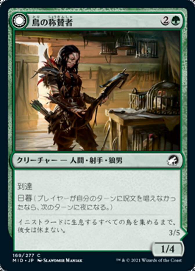 Bird Admirer // Wing Shredder